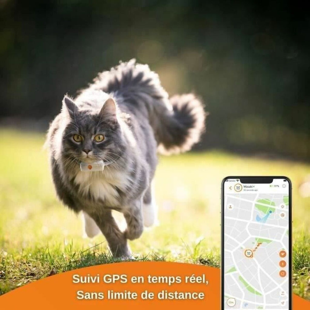 Anti - loss gps tracker for cats - WHISKELLO