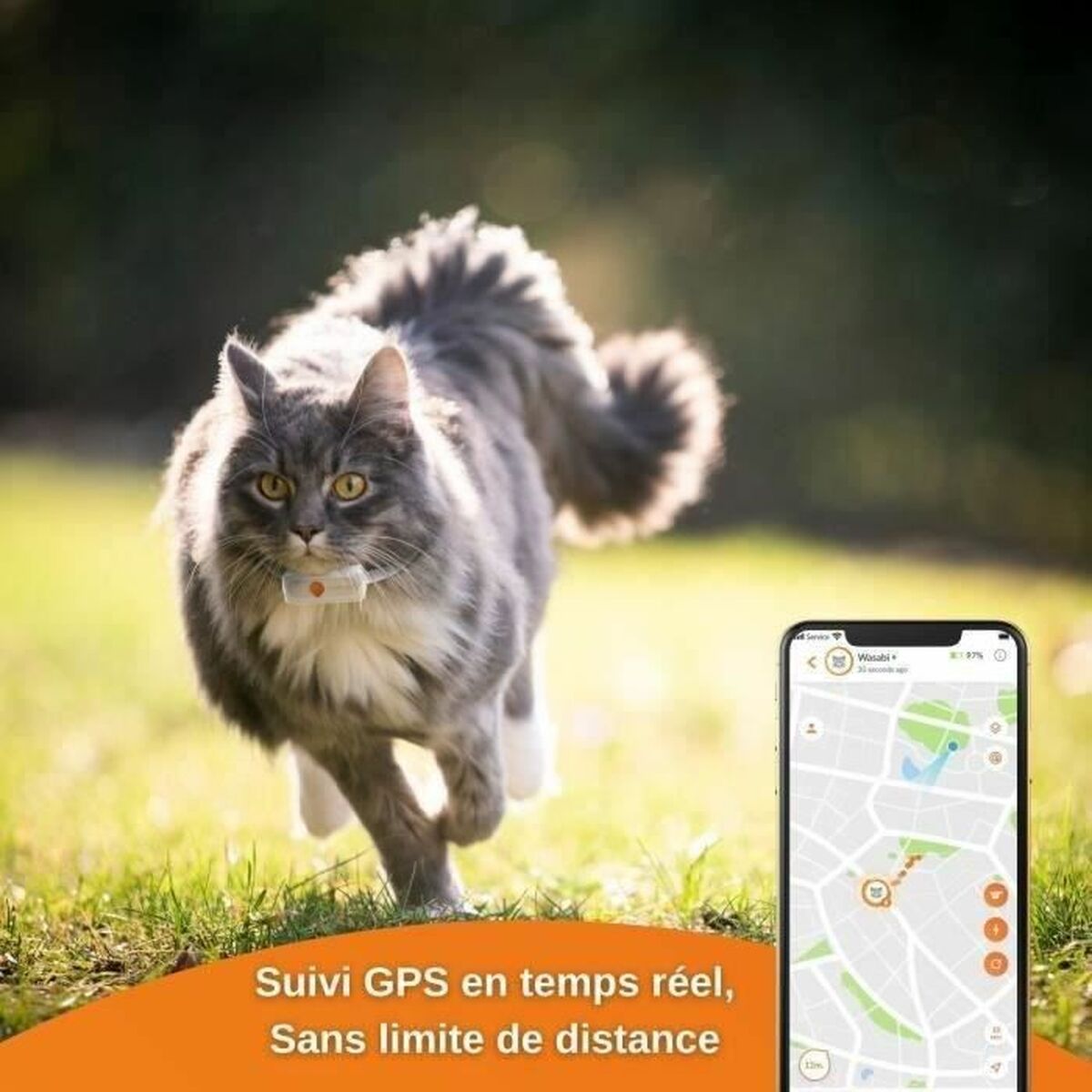 Anti - loss gps tracker for cats - WHISKELLO