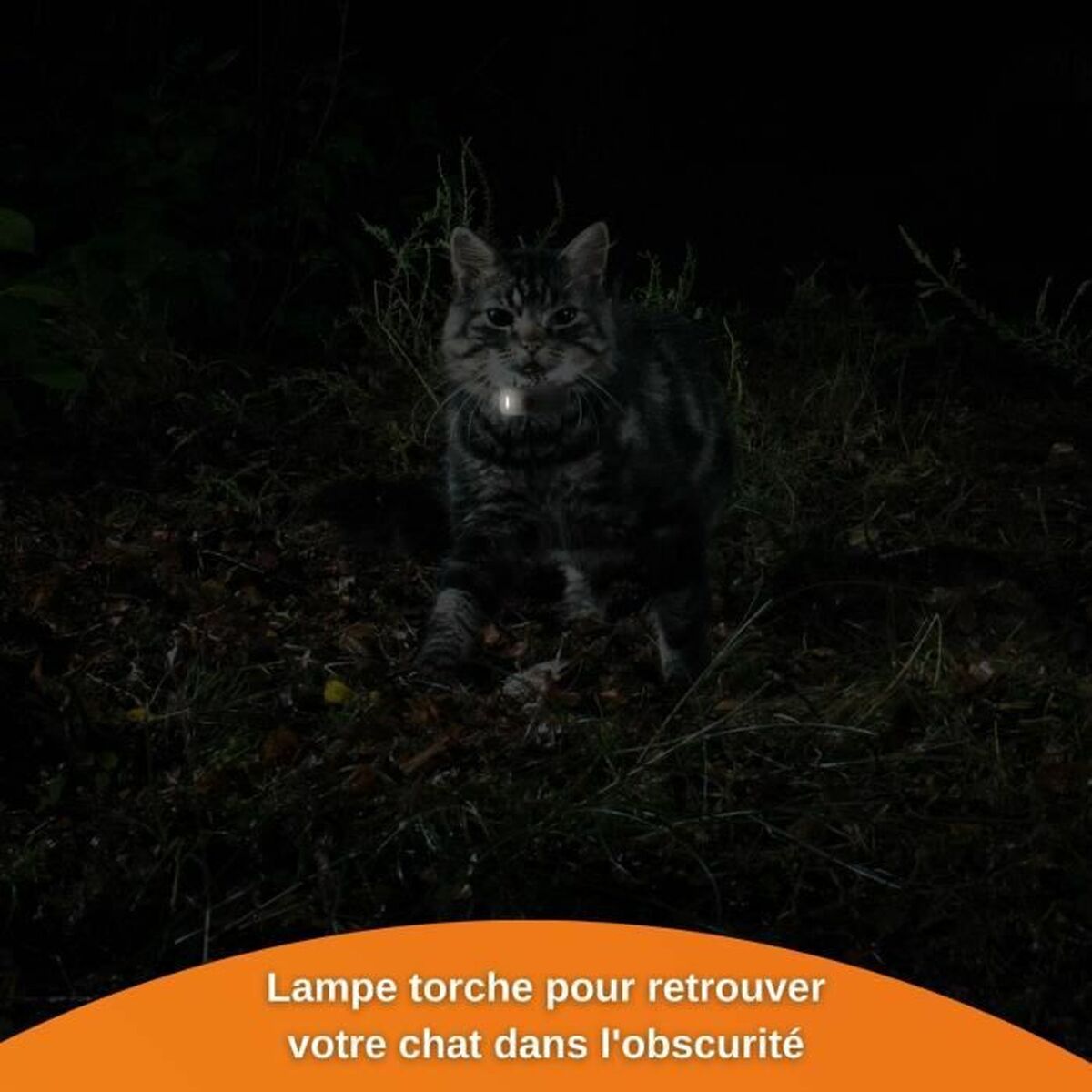 Anti - loss gps tracker for cats - WHISKELLO