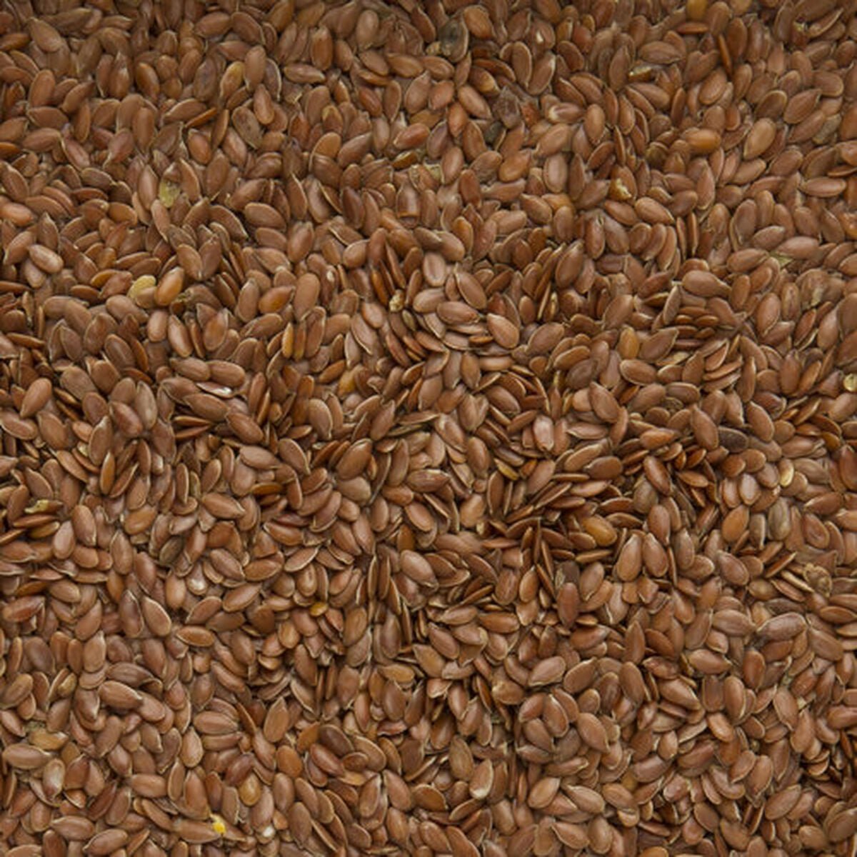 Bird food Deli Nature Premium - WHISKELLO