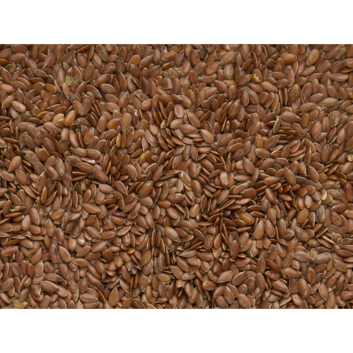 Bird food Deli Nature Premium - WHISKELLO