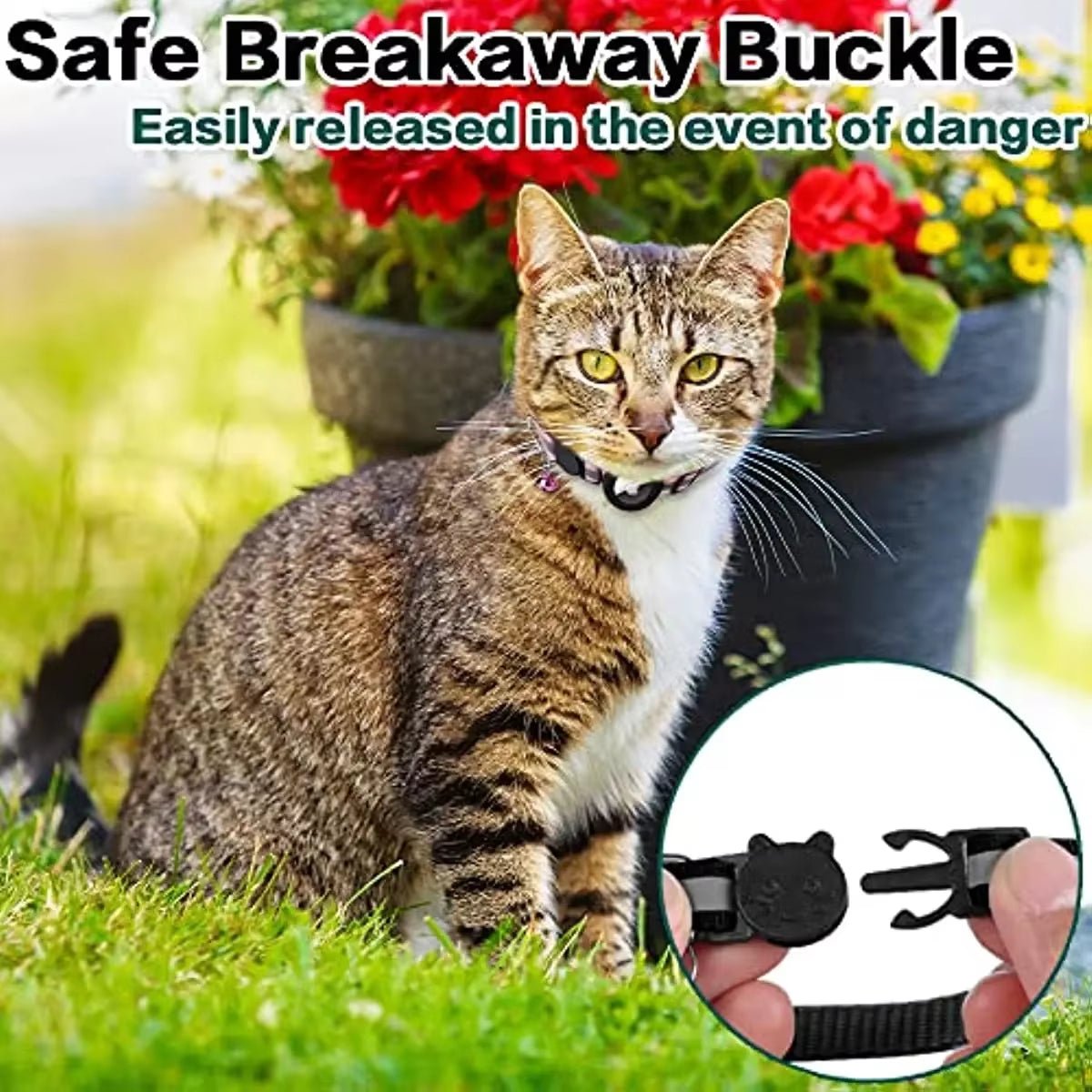 Breakaway Cat Collar - WHISKELLO