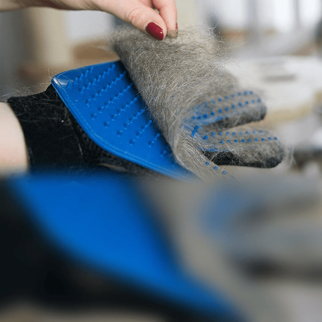 Cat And Dog Grooming Gloves 1 Pair - Blue - WHISKELLO