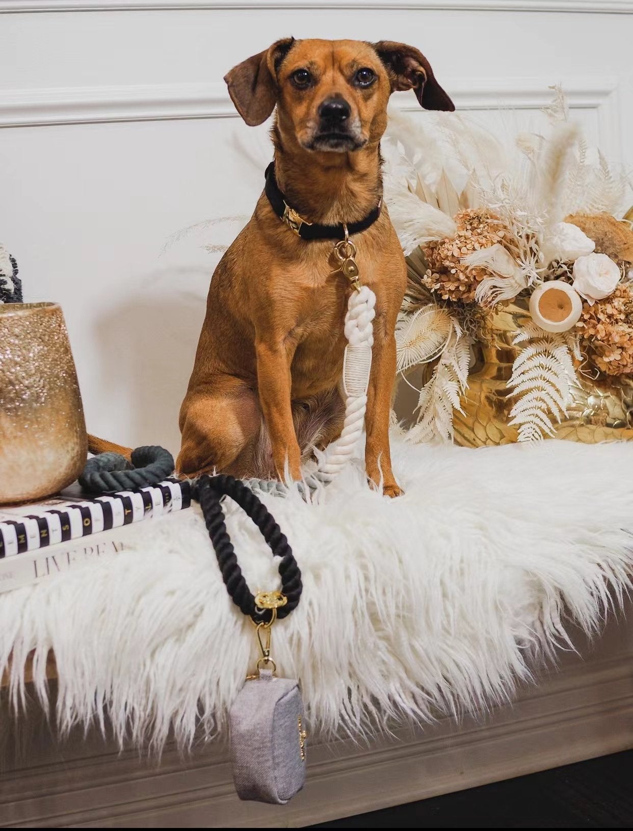 Dog Rope Leash - Natural - WHISKELLO