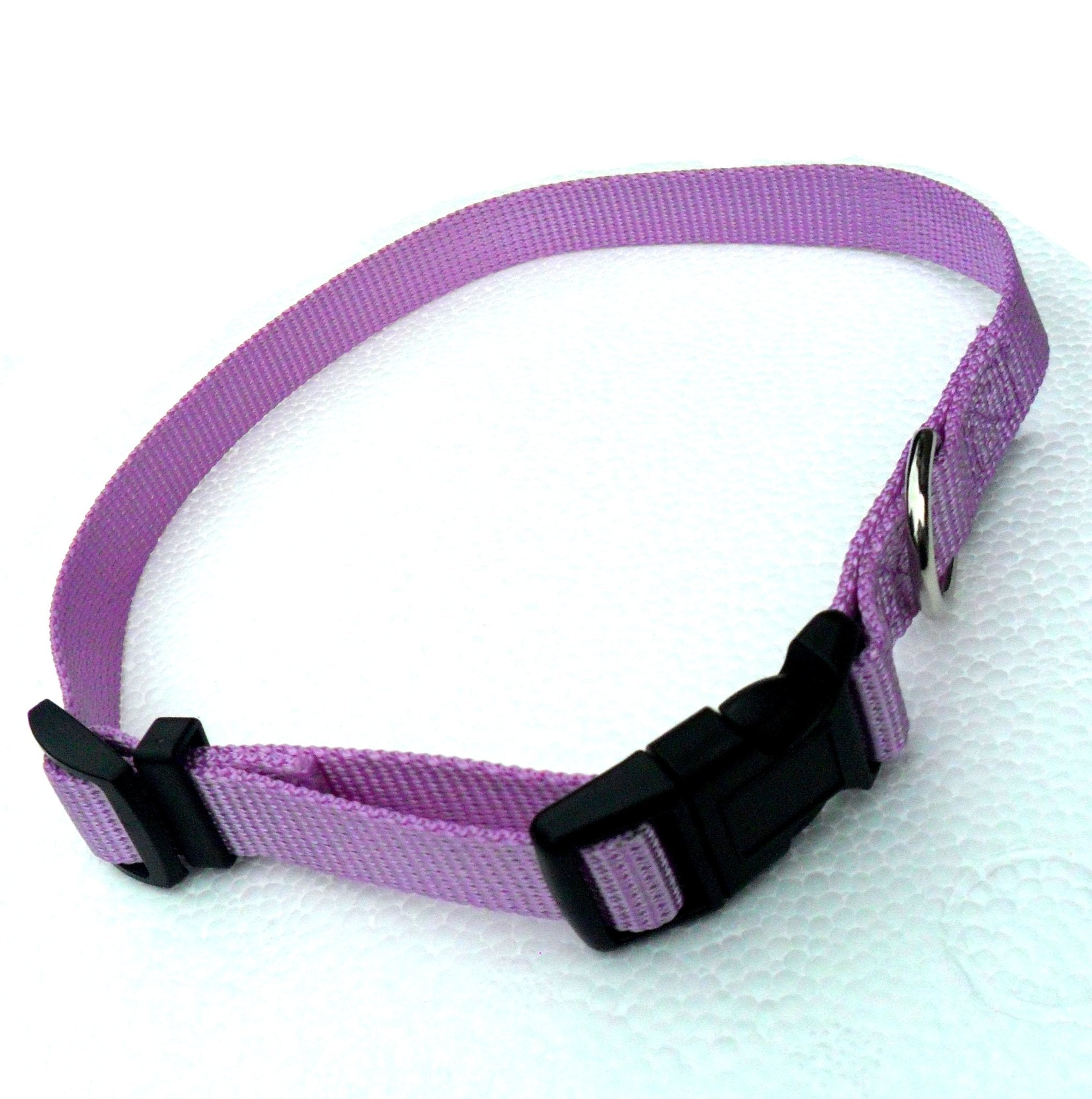 Nylon Adjustable Dog Collars - WHISKELLO
