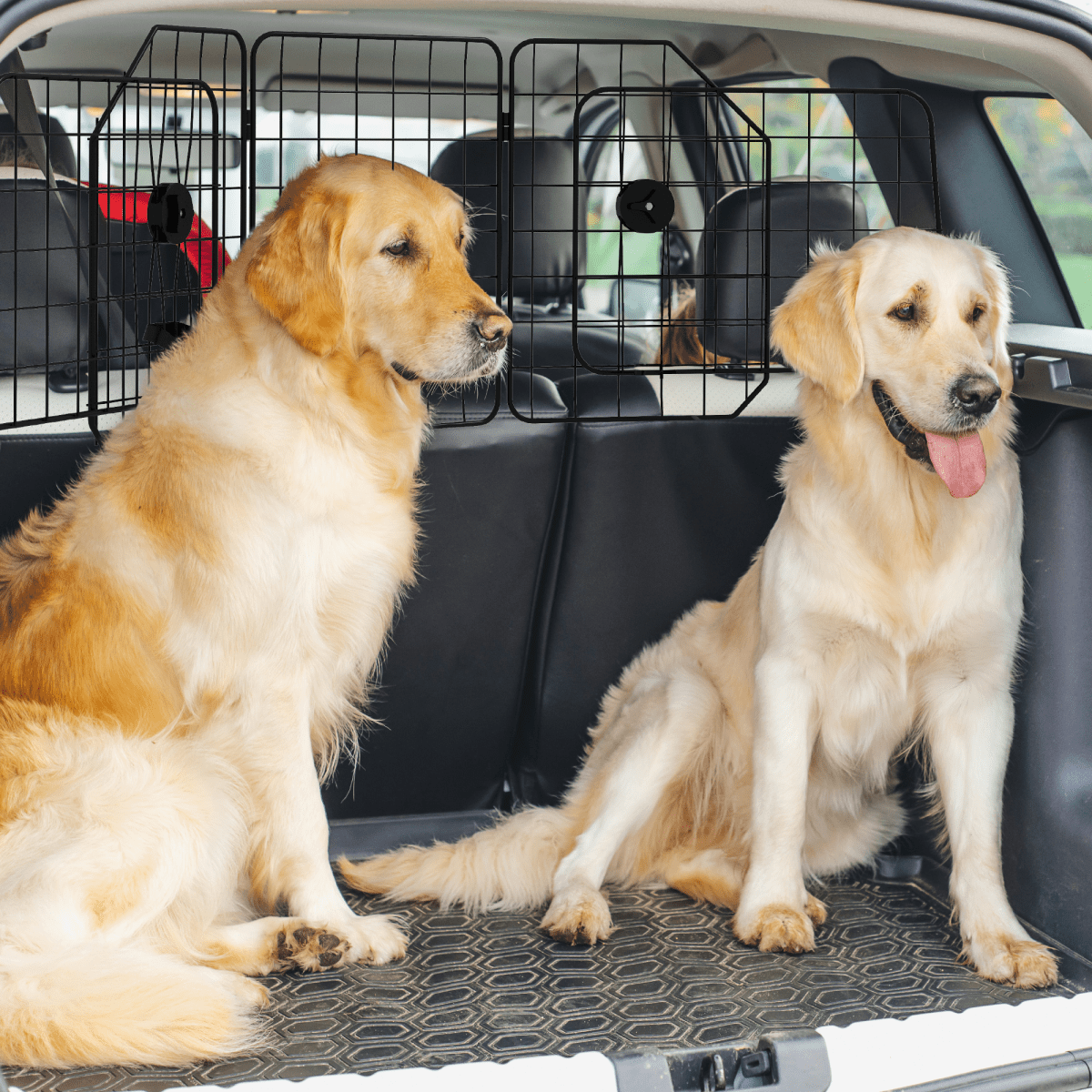 PawHut Dog Guard for SUVs, Vehicles, Vans, Car Barrier with Adjustable Width - WHISKELLO