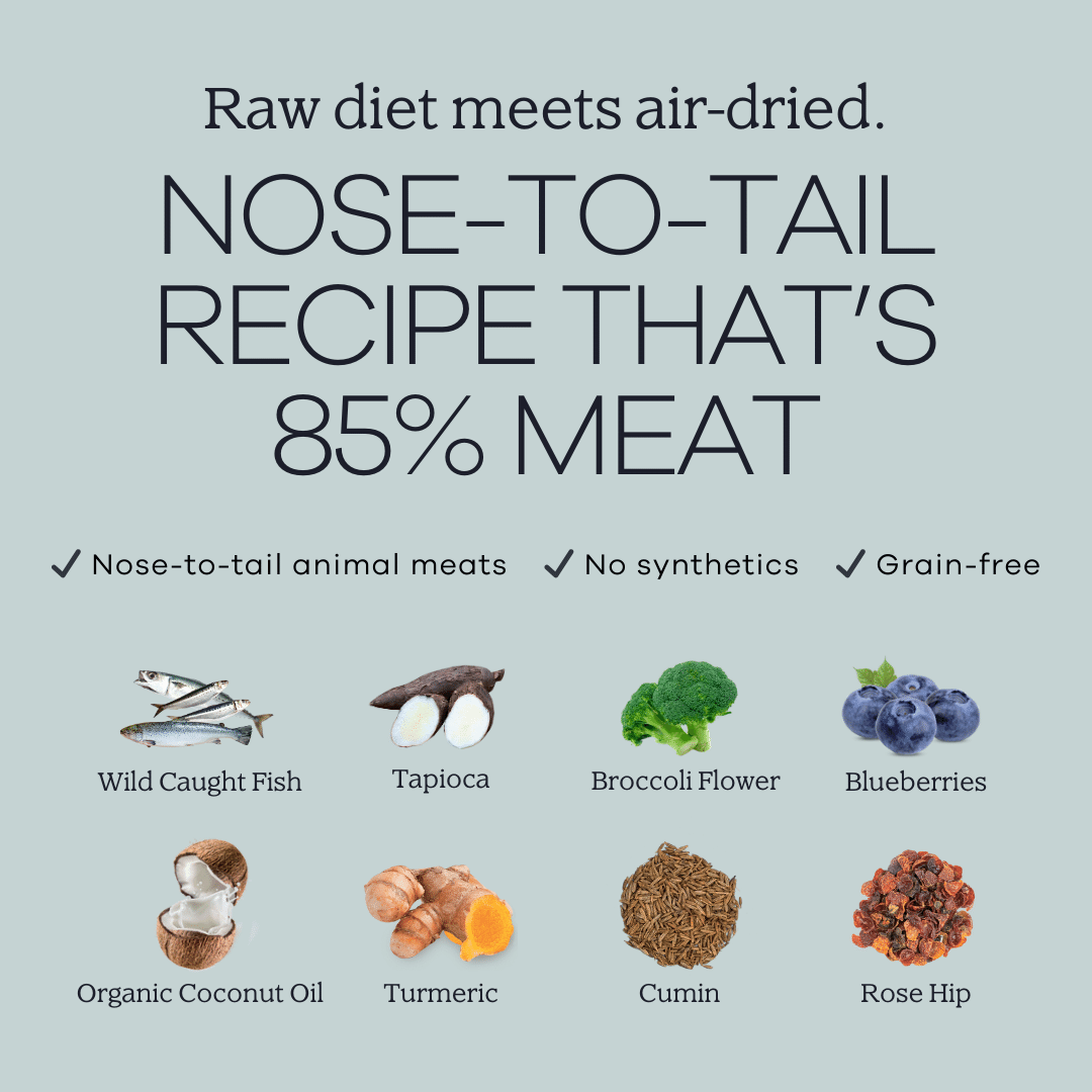 Perfect Superfood - 7 Day Trial - WHISKELLO