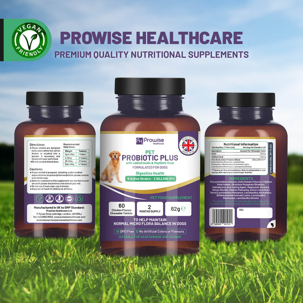Pet Probiotic Plus Inulin & Psyllium Husk 60 Chewable Tablets - WHISKELLO
