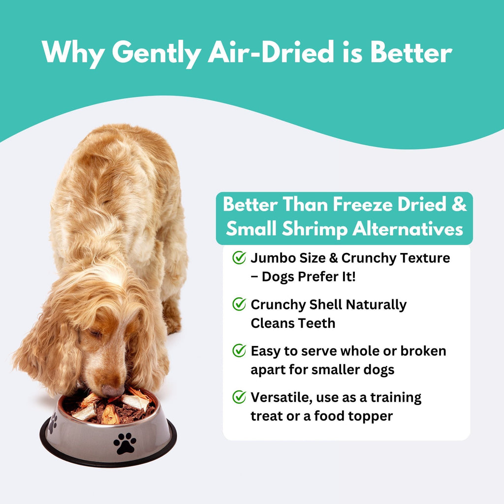 Wild - Caught Australian Jumbo Prawn Dog Treats - WHISKELLO